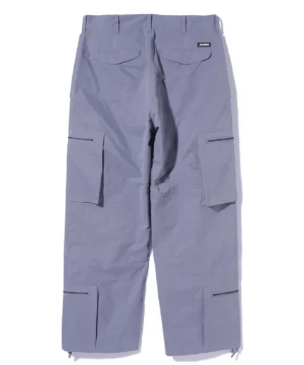 Xlarge Function Cargo Pants Grey (4)